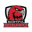 Alta High School Football